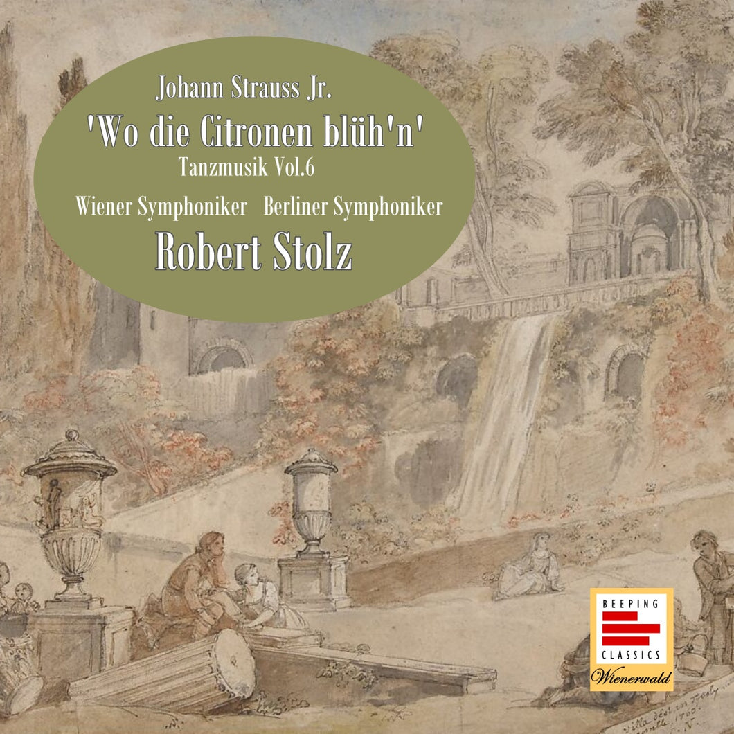 Johann Strauss Jr.: Tanzmusik Vol.6